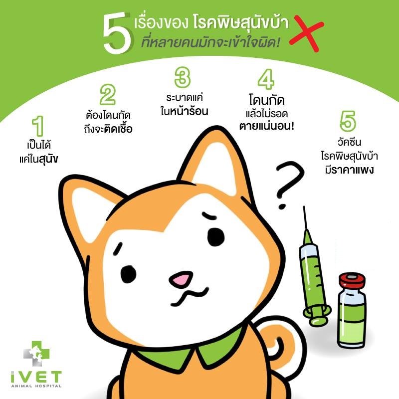 5 Most misunderstanding about rabies • 5 Most misunderstanding about rabies •